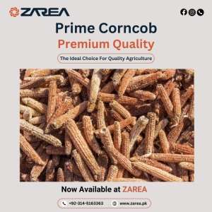 Premium Red Corncob – Available Now at Zarea.pk