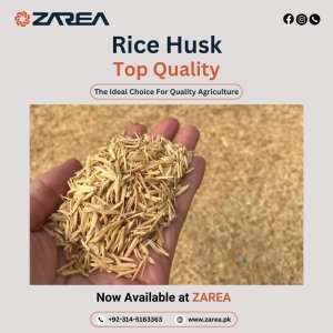 Rice Husk Now Available at Zarea Limited