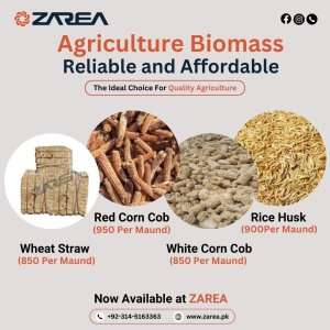 Agriculture Biomass Materials Available at Zarea