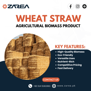 Wheat Straw Now Available at Zarea Limited