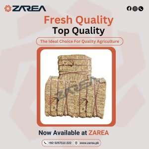 Wheat Straw Available on | Zarea Limited