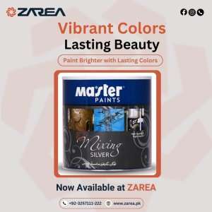 Exterior Paint Silk (Master Paints) on Zarea