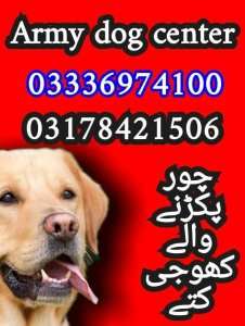 45ca7d27-3251-47ab-a3e8-55c5d697930a