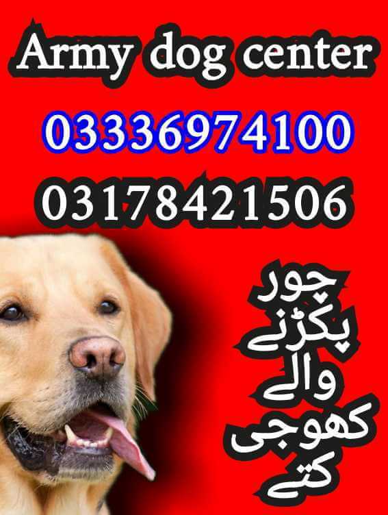 Army dog center 03336974100 (چور پکڑنے والے کتے)