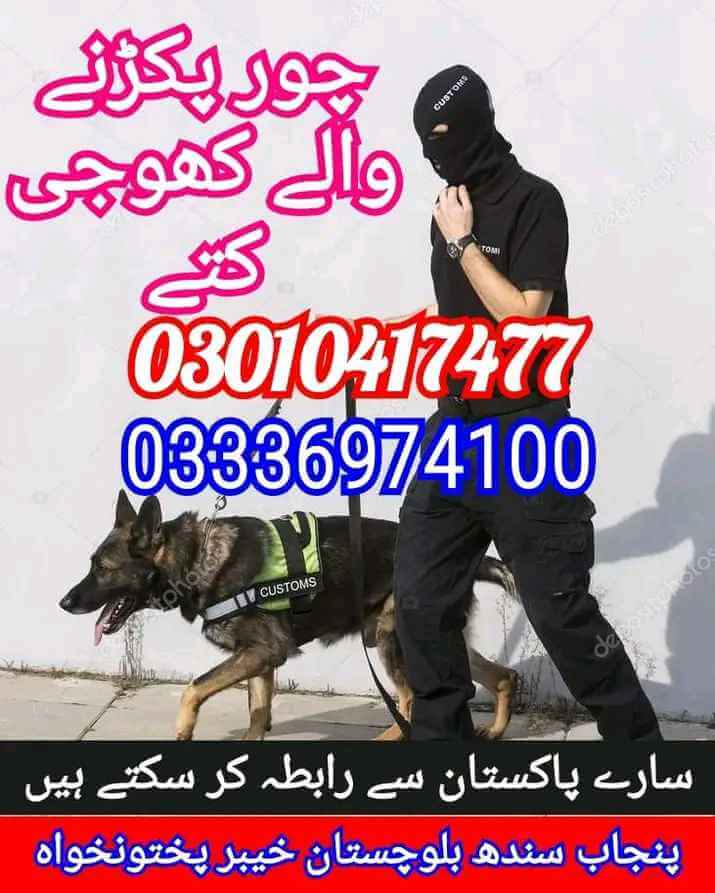 Army dog center 03336974100