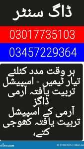 1779462029081