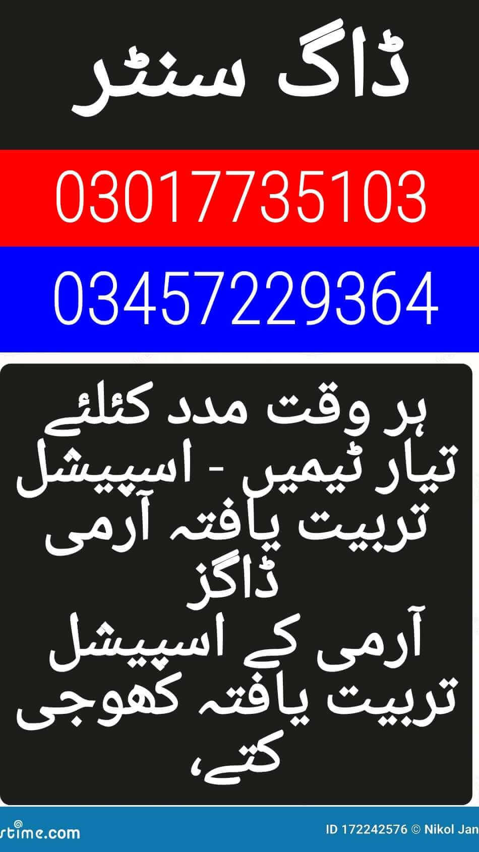 Army dog center 03457229364