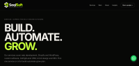 Professional IT, Web Development & Software Soluti